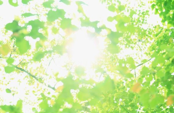 静岡県沼津市の屋根工事は災害に強いディーズルーフィングで・・・